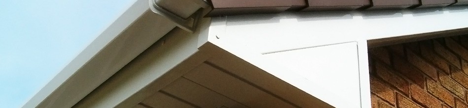 Caring for rooflines in Bristol